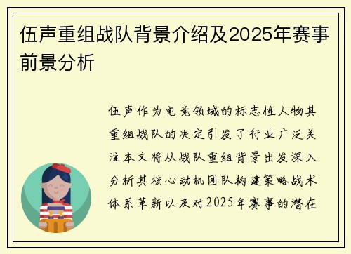 伍声重组战队背景介绍及2025年赛事前景分析